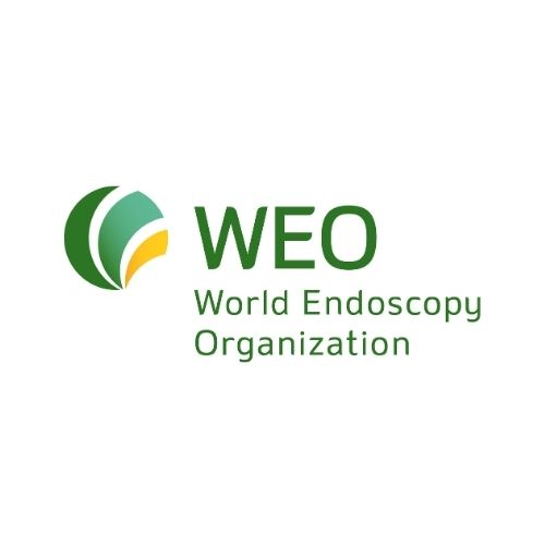 World Endoscopy Organization (WEO)